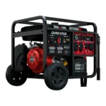 DuroStar 13,000 Watt Dual Fuel Portable Generator w/ CO Alert